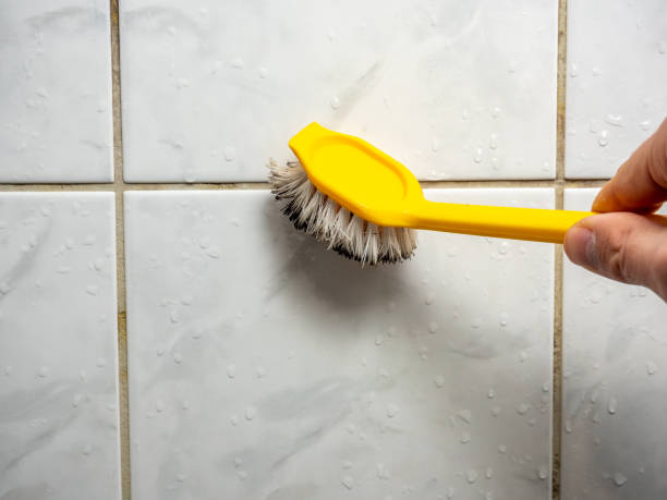 Best Certified Mold Removal  in Algood, TN