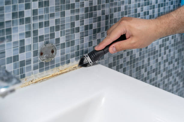 Best Emergency Mold Removal  in Algood, TN